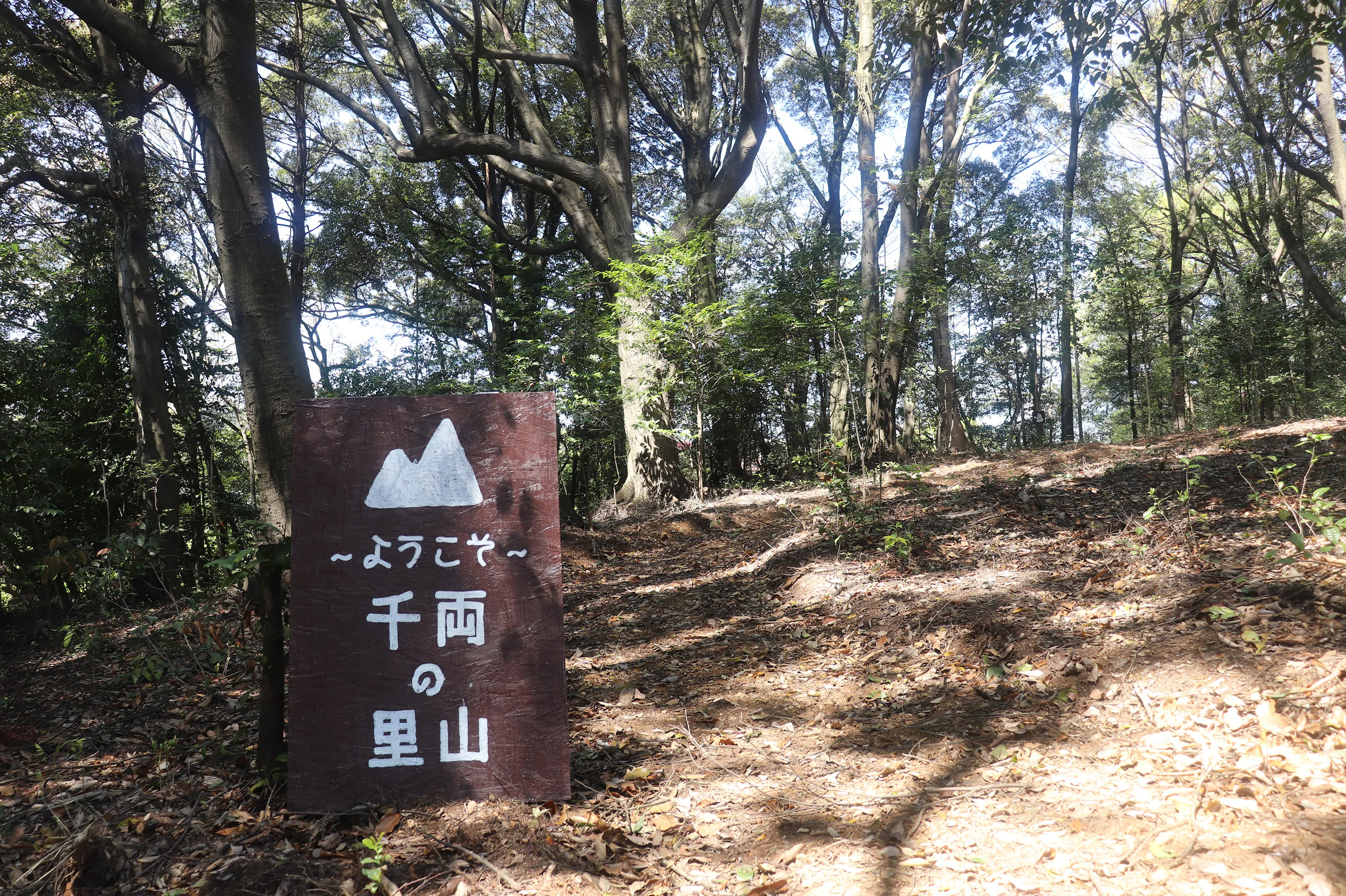 千両の里山パートナーサムネイル